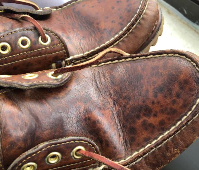 レッドウィングの黒い斑点の正体は？